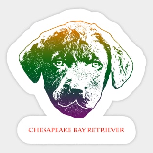 The chesapeake bay retriever head is Violet, Green, Orange Sticker